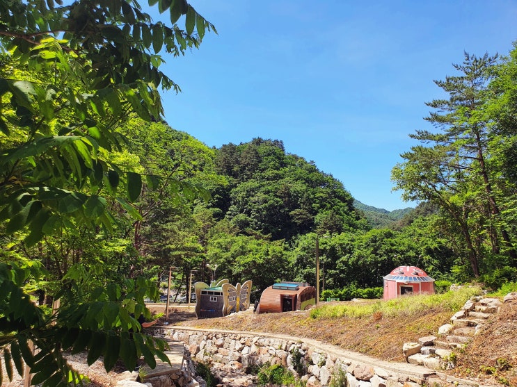  진동리국민여가캠핑장-동영상 보면서 사이트 예약하기