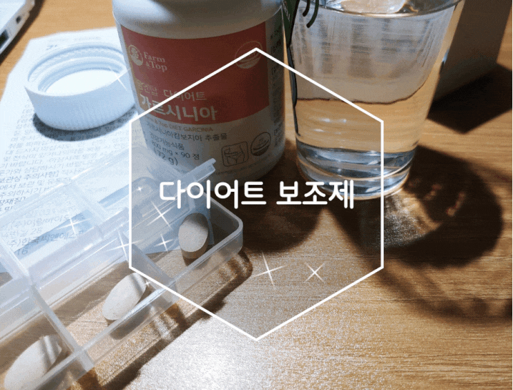  다이어트 보조제 굶는 다이어트는 그만 가르시니아