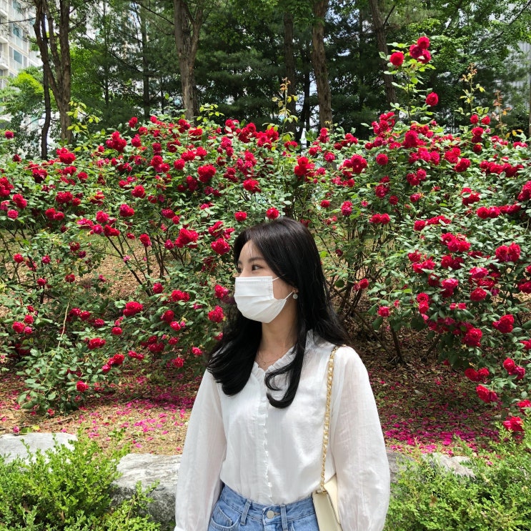  나의 주말은