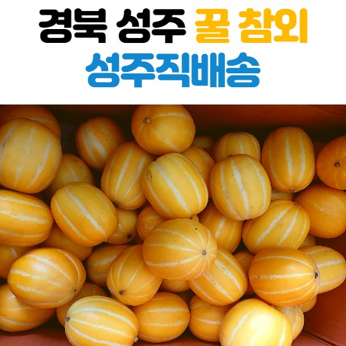 최근 인기있는 성주 꿀 참외 가정용 선물용 3kg 4.5kg 9kg, 가정용참외 추천합니다