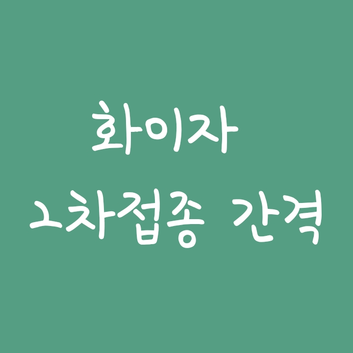 화이자 2차 접종 간격, 1차/2차 접종 예약 방법 화이자 2차 접종 간격, 1차/2차 접종 예약 방법