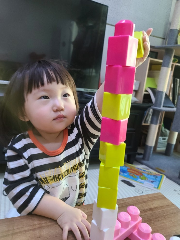  아기 발달 18개월부터 24개월까지 말이 느린 아기의 발달단계