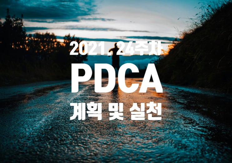  2021년 계획과 실천 24주차 점검 [지금행복하자]