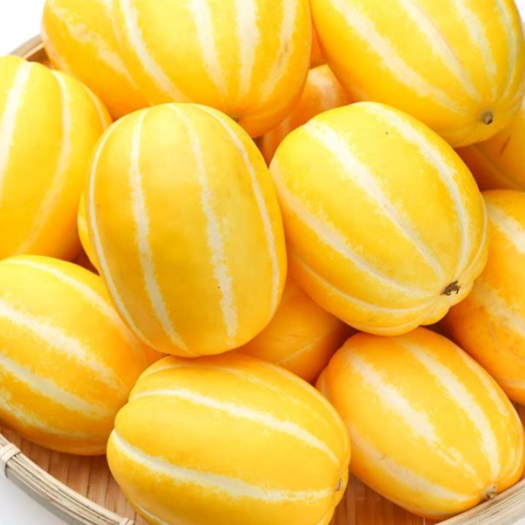 인기있는 요리하는 아들 100% 국내 성주 꿀 참외 5kg/3kg/1kg(소 중 대), 성주 꿀 참외 5kg(대과/10-20과쯤) 좋아요 인기있는 요리하는 아들 100% 국내 성주 꿀 참외 5kg/3kg/1kg(소 중 대), 성주 꿀 참외 5kg(대과/10-20과쯤) 좋아요