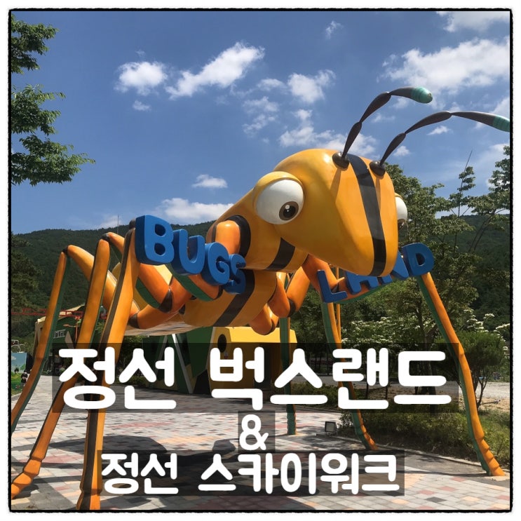  [슈파삼형제와 여행] 정선 벅스랜드 & 정선 병방치 스카이워크