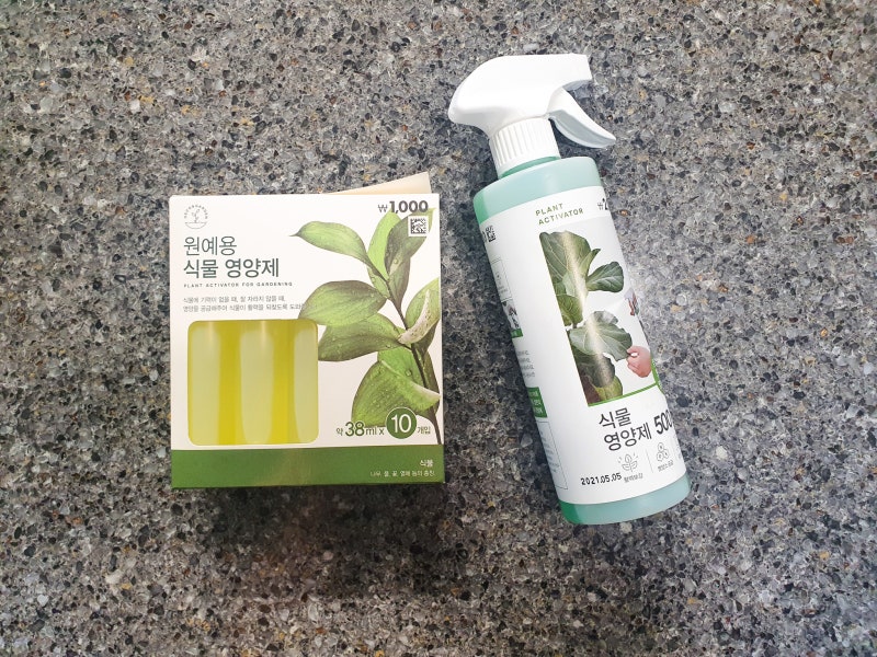 몬스테라, 스킨답서스 수경재배식물 다이소 식물영양제 2종류로 싱싱하게 키우기