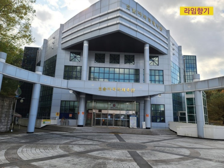 <b>대전</b> 서구 체육관 도솔다목적체육관 <b>도솔산</b> 뷰는 덤(배드민턴, 농구....