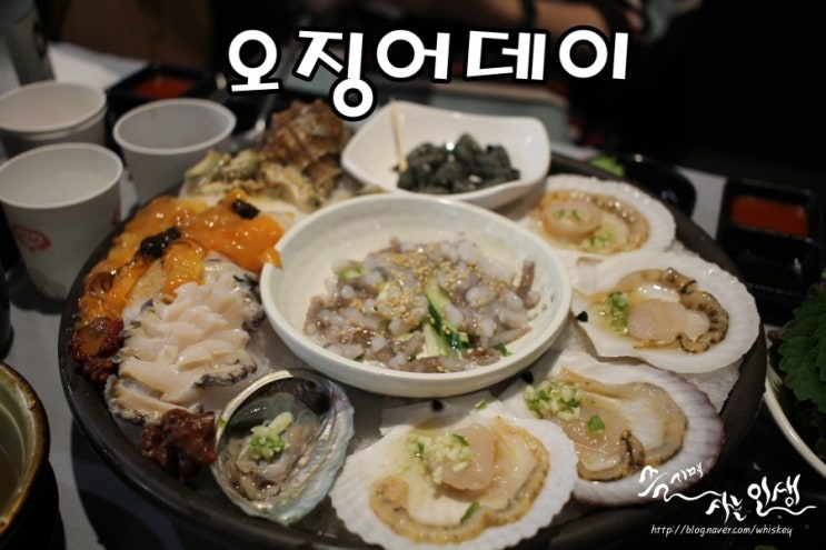  [장한평역 맛집] 장안동 횟집 오징어데이