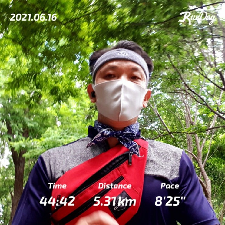  매일운동 5km 뛰뛰