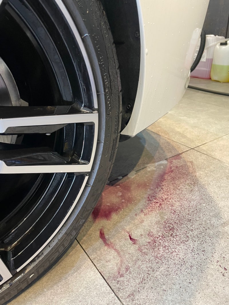 성남 분당구 / 코팅 / BMW / Z 모델