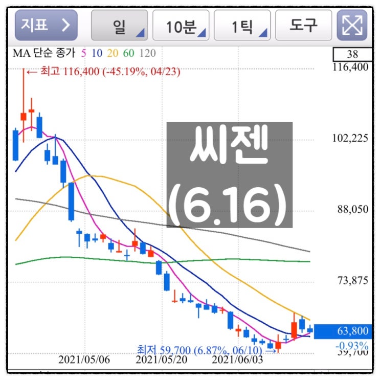  [미자의 주식일기] 씨젠(6.16)