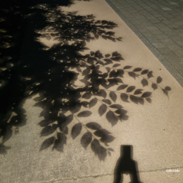 2021.6.15: 저녁 산책, 밤하늘 2021.6.15: 저녁 산책, 밤하늘
