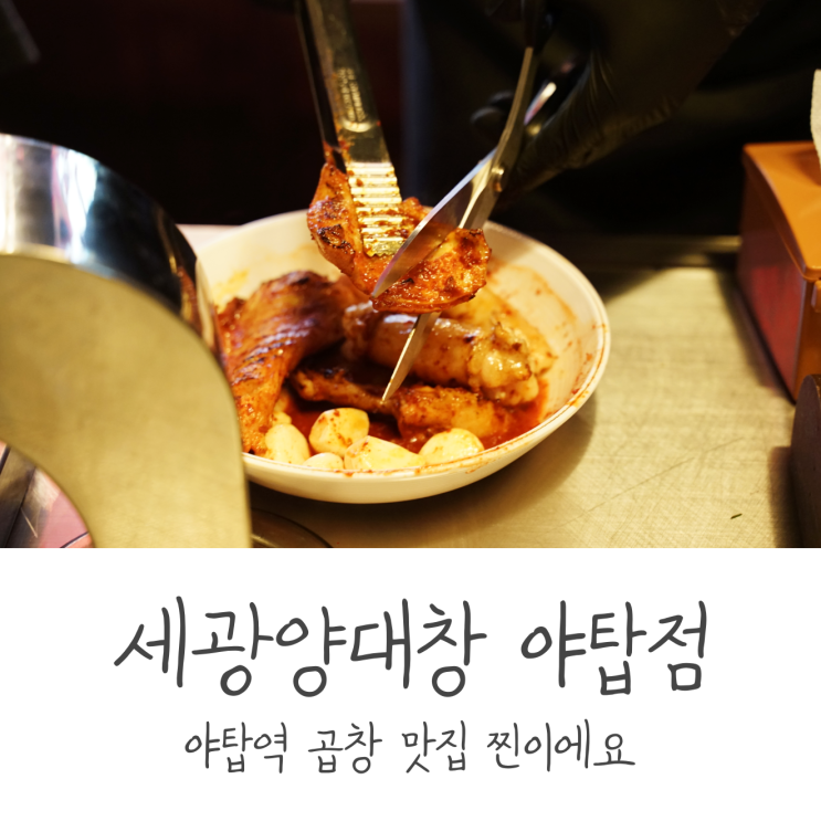  야탑역 곱창 맛집 찐이에요