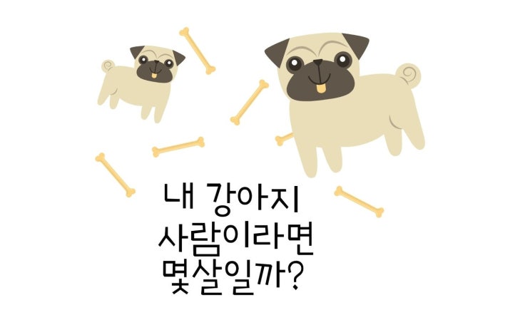 내 강아지 나이 사람으로 하면 몇 살일까?