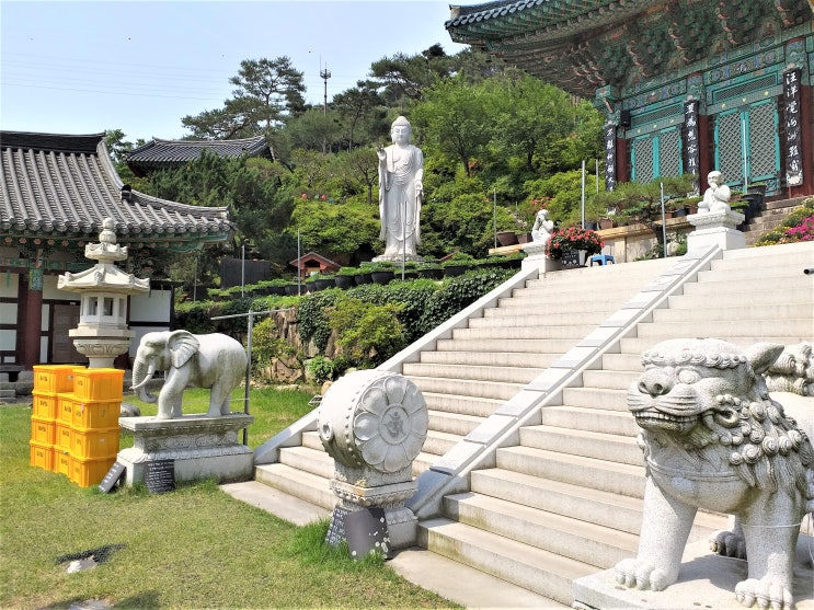  아미타대불과 진신사리가 모셔진 세종시의 사찰.  영평사(永平寺)