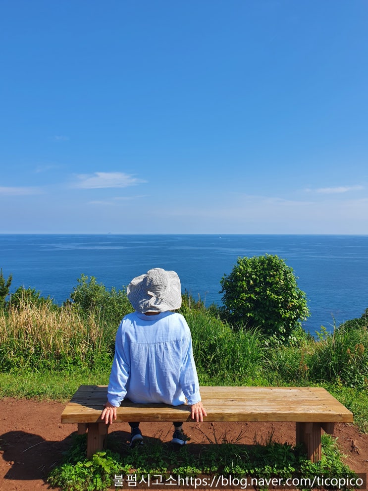  제주도 뚜벅이 가족 여행 | 도두봉, 무지개해안도로, 한담해변, 금능자갈 점심식사 추천
