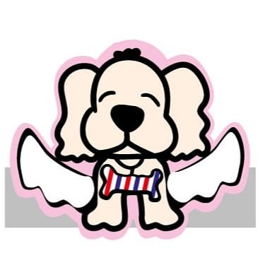 사진 6