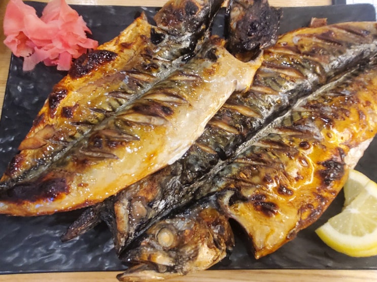  [맛집] 대전 서구 둔산동 '어식백세'