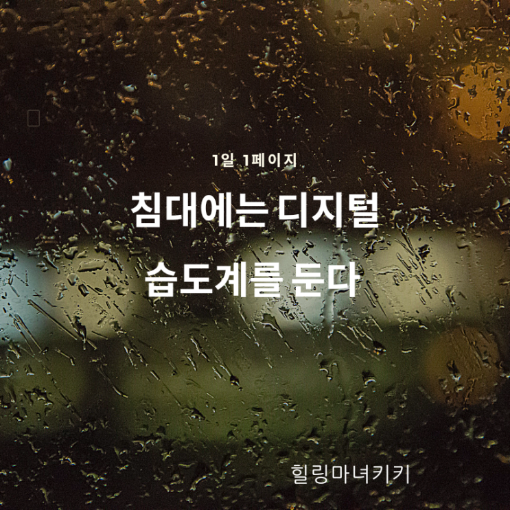  1일 1페이지 ㅡ 85일 습도를 50%로 유지한다