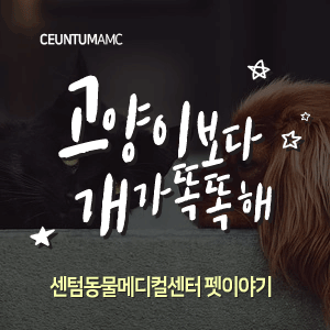  [동물뉴스]고양이보다 개가 똑똑해