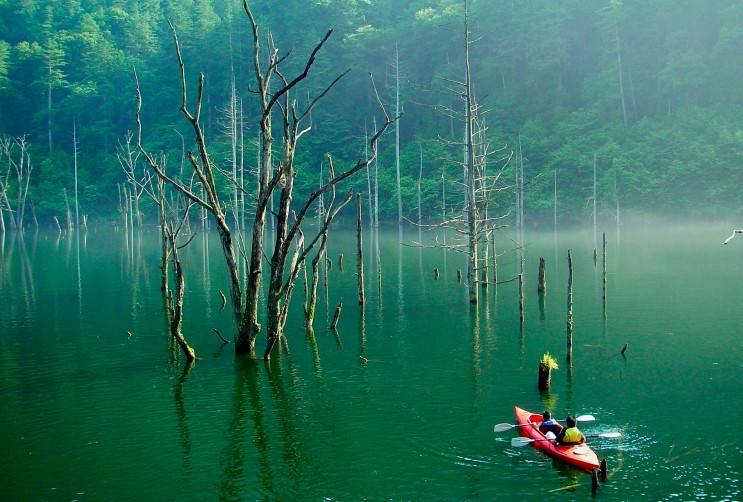 [랜선 타고 일본여행] 힐링투어 • 신록(新緑)의 자연호(自然湖/Shizenko)【나가노현】