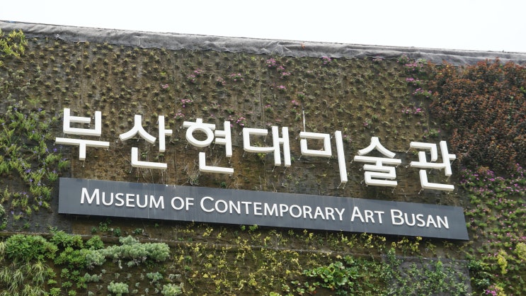  부산 가볼 만한 곳, 아이들과 가기 좋은 곳 / 부산 현대미술관