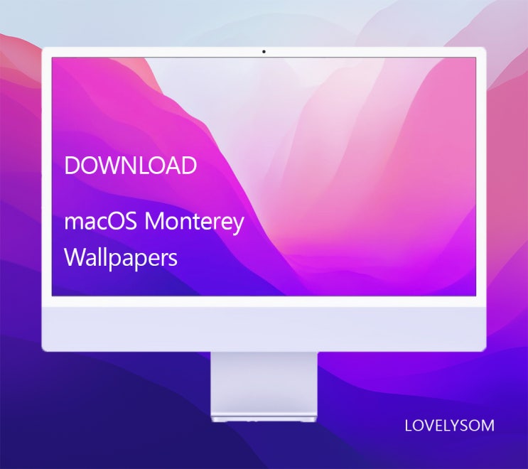 DOWNLOAD macOS Monterey Wallpapers 뉴 아이맥 배경화면 & 아이패드 프로 배경화면