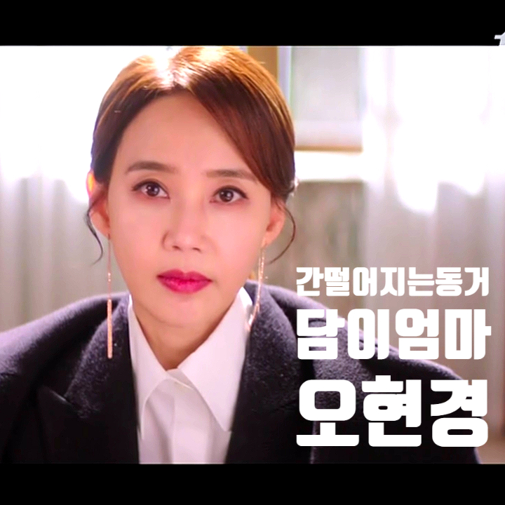 간떨어지는동거 담이엄마 카메오출연 오현경 알아보기 간떨어지는동거 담이엄마 카메오출연 오현경 알아보기