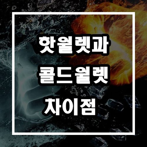 핫월렛과 콜드월렛 차이점 핫월렛과 콜드월렛 차이점