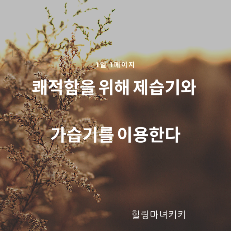  1일 1페이지 ㅡ 84일 가습기와 제습기를 활용한다