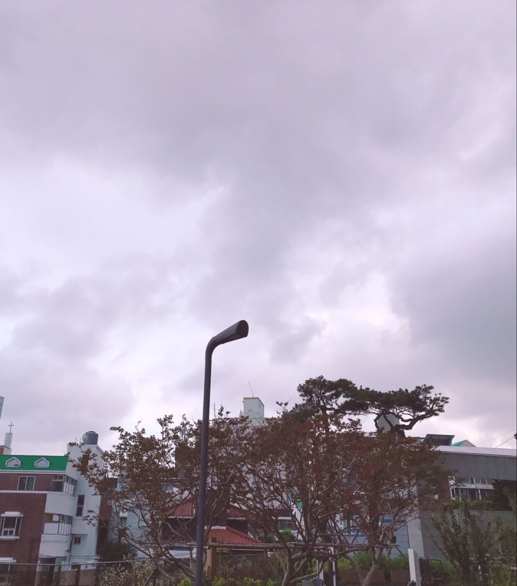  다시, 알찬하루 만들기~ (24일차)