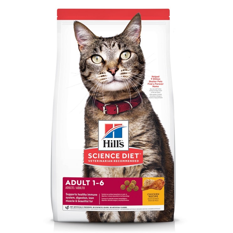 인기 많은 사이언스다이어트 어덜트 치킨 고양이 사료, 2kg, 1개 좋아요 인기 많은 사이언스다이어트 어덜트 치킨 고양이 사료, 2kg, 1개 좋아요