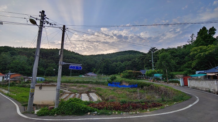다이소 여름 신상 장난감으로 조카들에게 점수좀 땄어요 여름캠프 플렉스 다이소 여름 신상 장난감으로 조카들에게 점수좀 땄어요 여름캠프 플렉스