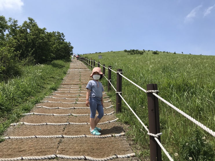  [제주서쪽여행] 시원한 바람과 사방이 탁트인 경치, 여름에 오르기 좋은 오름 - 제주시 애월읍 새별오름