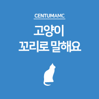  고양이 꼬리로 말해요