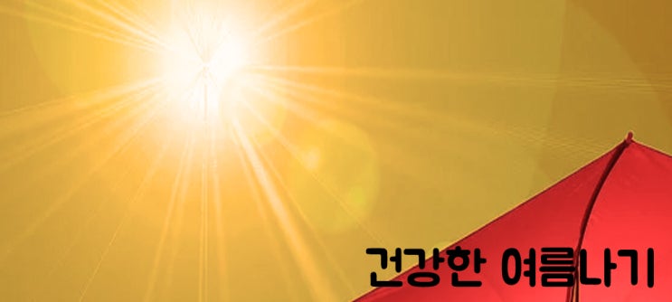  건강한 여름나기
