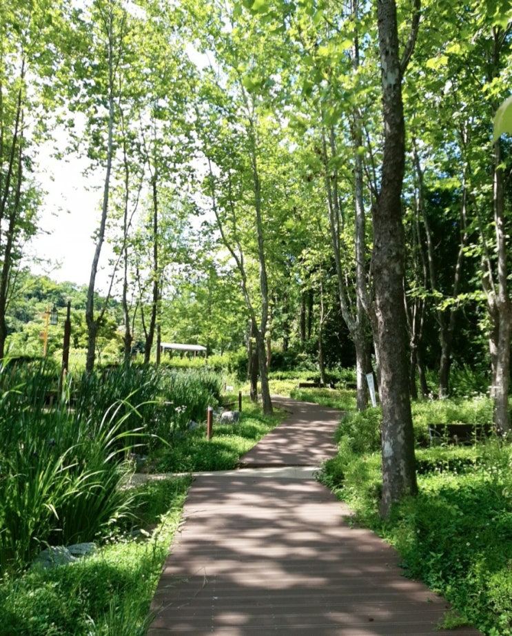 평일의 힐링 부천 역곡공원 산책
