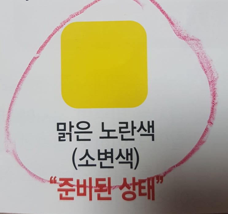  수면 대장, 위내시경 후기 (첫리얼 후기)