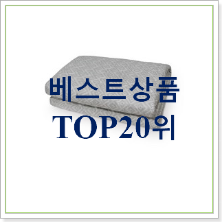 SNS대박 보국캠핑전기요 아이템 인기 판매 TOP 20위