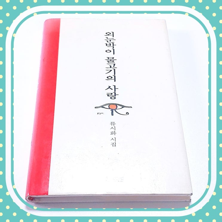  류시화 시집 외눈박이 물고기의 사랑