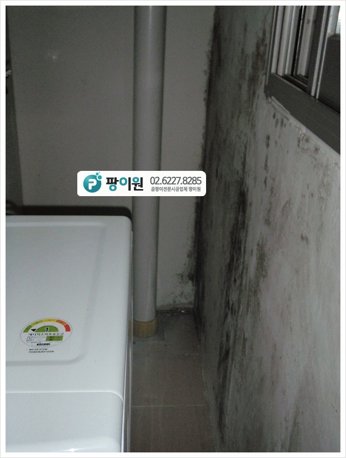  벽 곰팡이? 보이는것만 제거 하시나요?