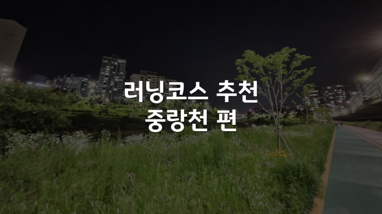 서울 내 러닝 코스, 어디가 좋을까? 중랑천 편