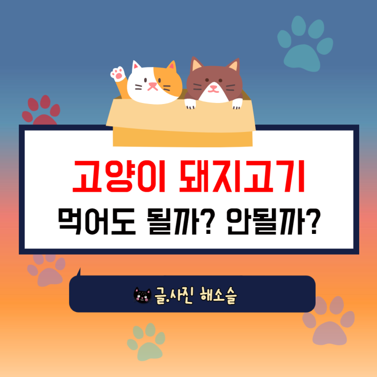  고양이 돼지고기 먹어도 될까? 안될까?
