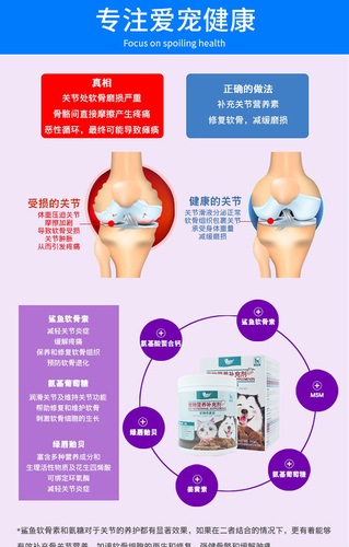 의외로 인기있는 해외 안젤라 애견 케미컬 보충제 고양이 뼈 복원 칼슘 완화-17045, 단일옵션, 단일옵션 추천해요