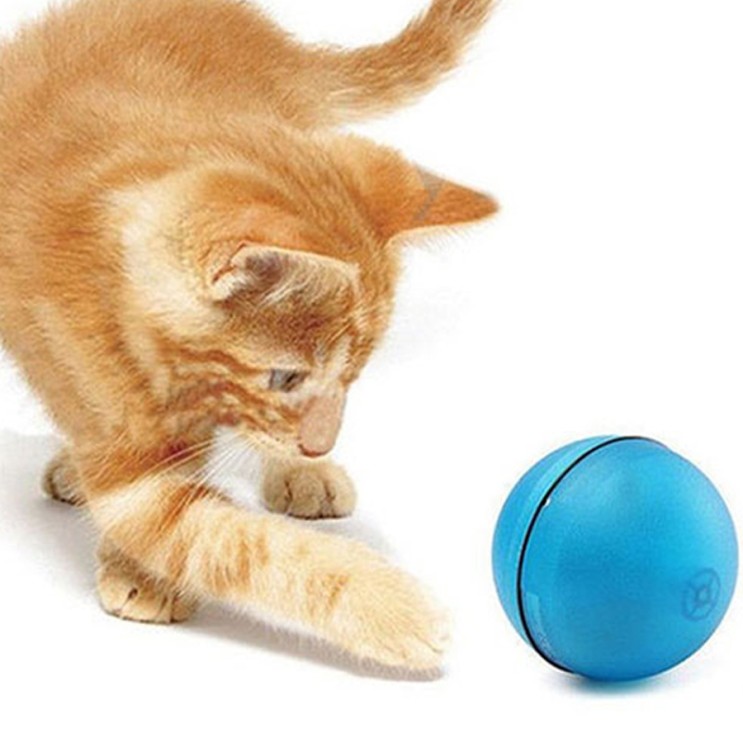 가성비갑 논다 고양이 LED 자동회오리 장난감, PT2003, 블루 추천해요