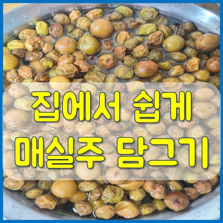  집에서 쉽게 매실주 담그는법 담그기