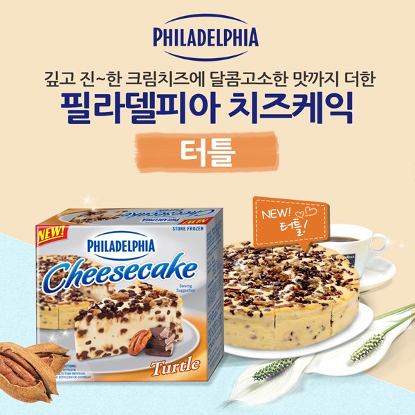 인기있는 필라델피아 터틀 조각 치즈 케익/가공케이크 좋아요 인기있는 필라델피아 터틀 조각 치즈 케익/가공케이크 좋아요