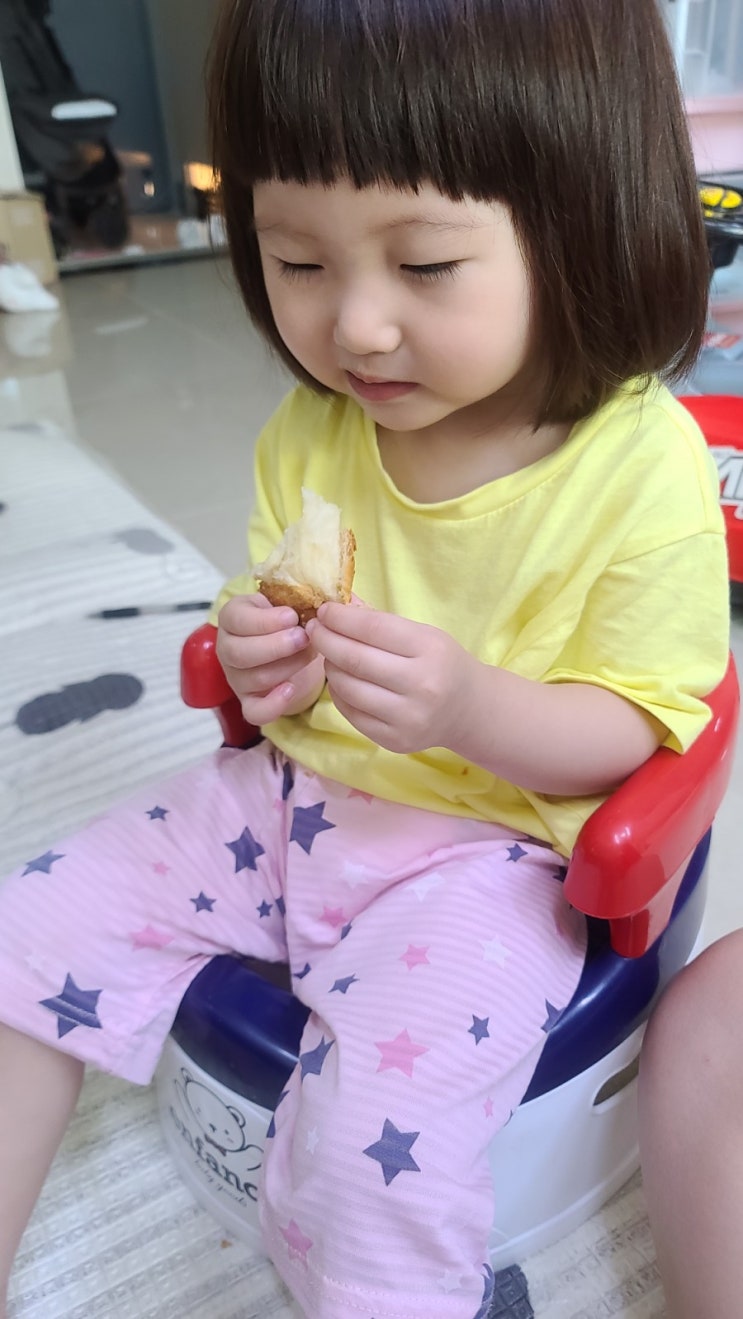  25개월 육아일기 인사는 폴더처럼