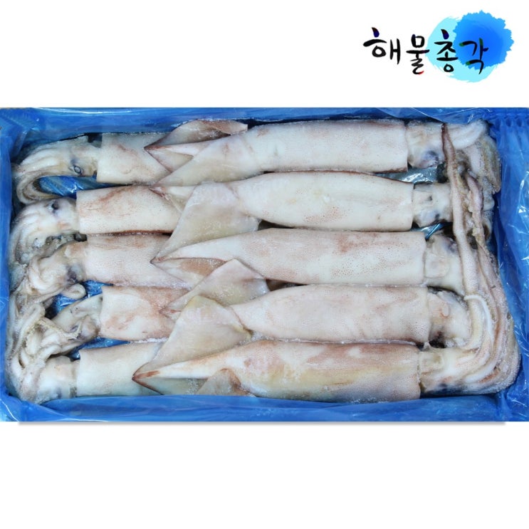 당신만 모르는 해물총각 냉동 오징어 1박스, 약3kg내외 추천합니다 당신만 모르는 해물총각 냉동 오징어 1박스, 약3kg내외 추천합니다