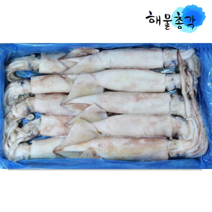 당신만 모르는 해물총각 냉동 오징어 1박스, 약3kg내외 추천합니다